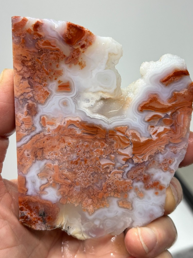 Cotton Candy Agate Slab Cabbing Lapidary Collecting Combo Ship Avail
