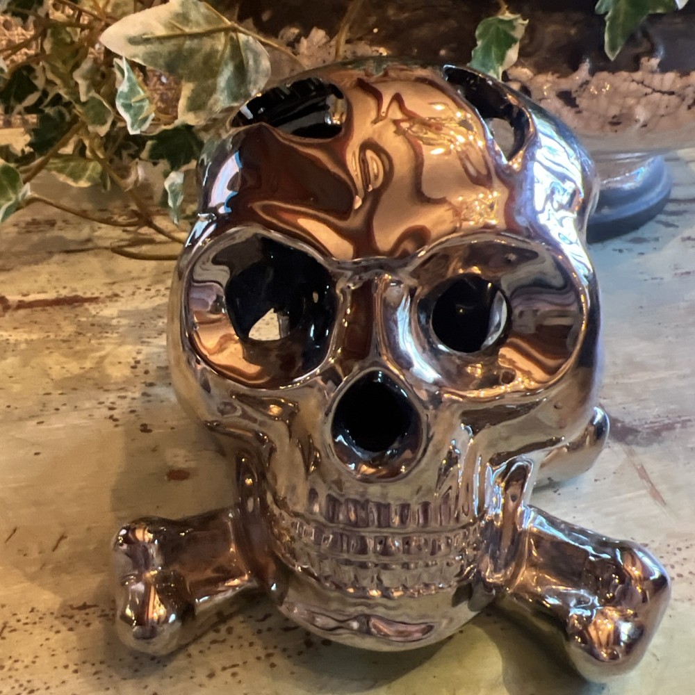 Skull Metallic Chrome Gothic Fantasy 6" Tall
