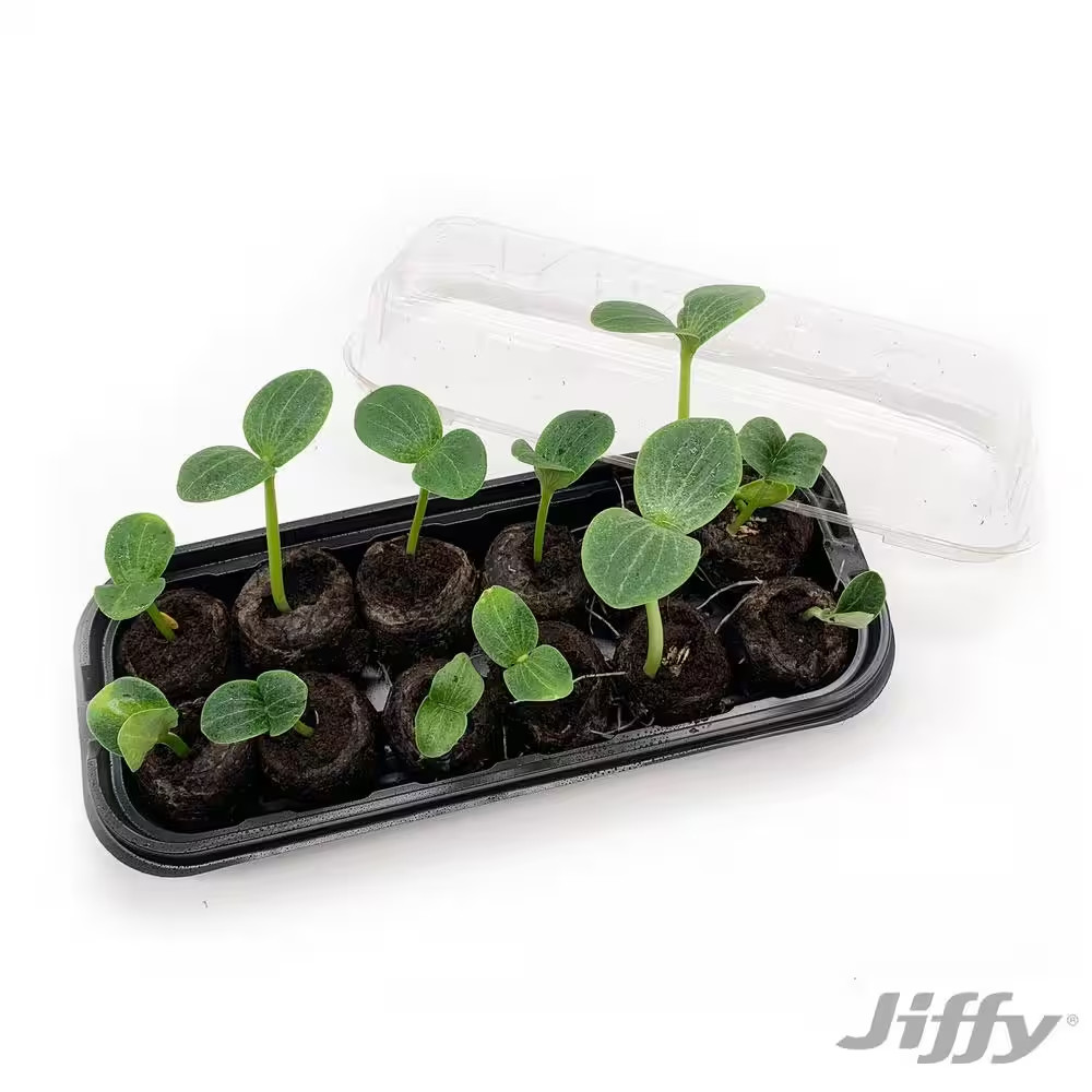 12 Peat Pellet Seed Starting Greenhouse Kit
