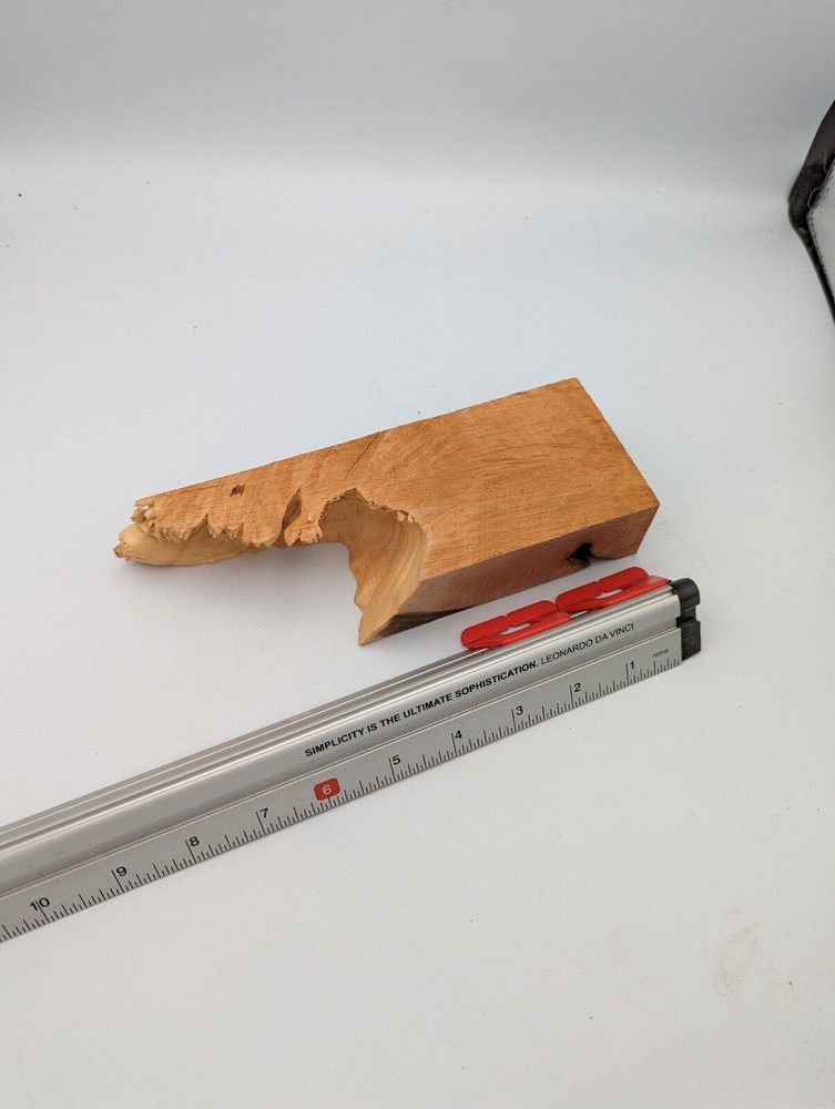 Maple Burl Scrap