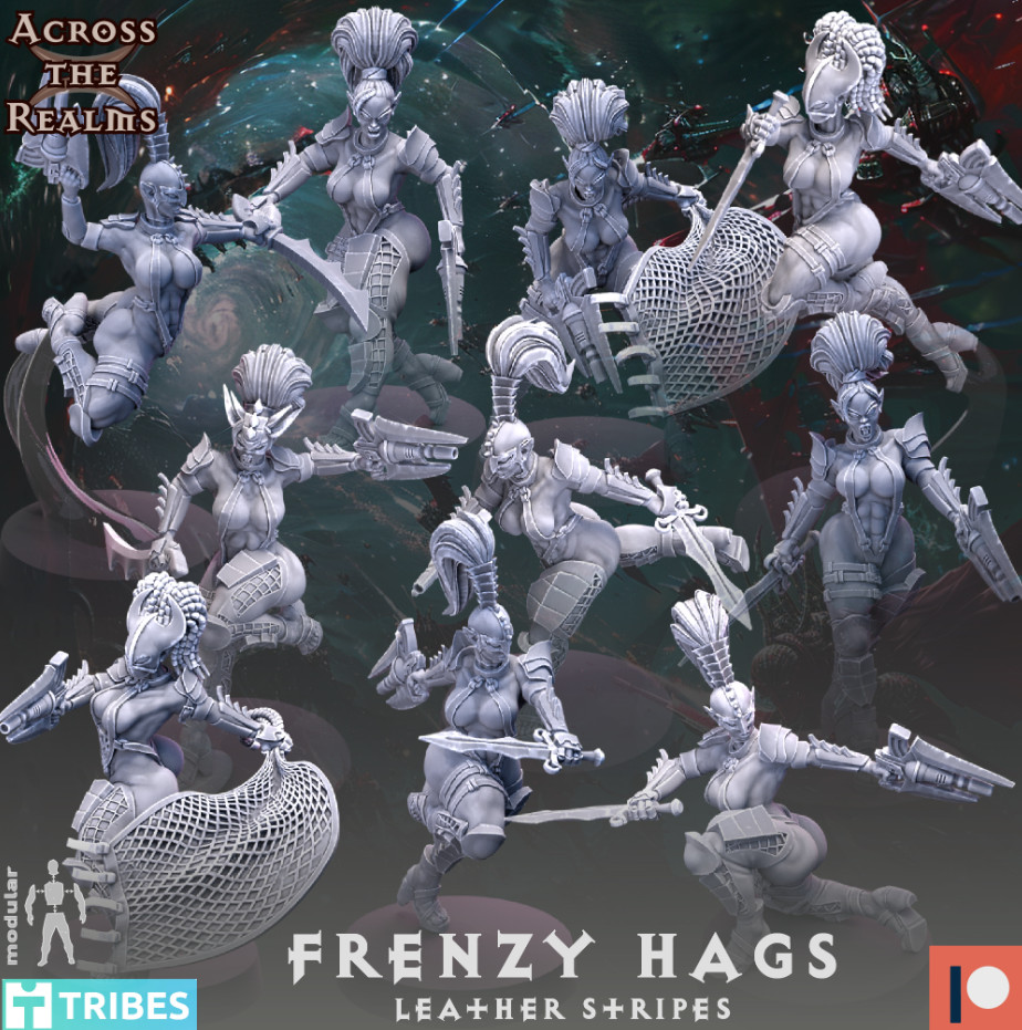 Frenzy Hags x 10  model (28 / 32mm scale)