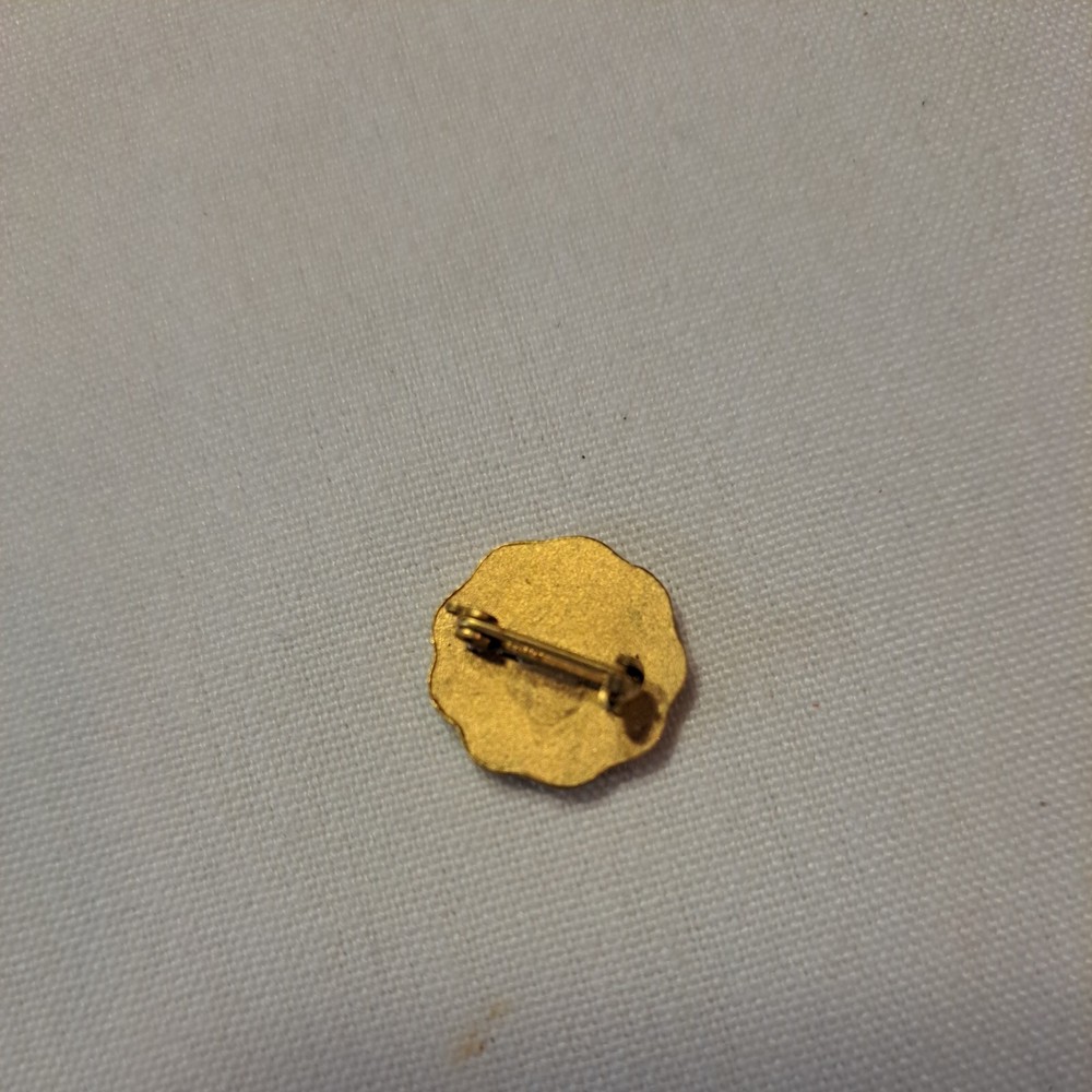 Enameled Pin Future Nurses Club