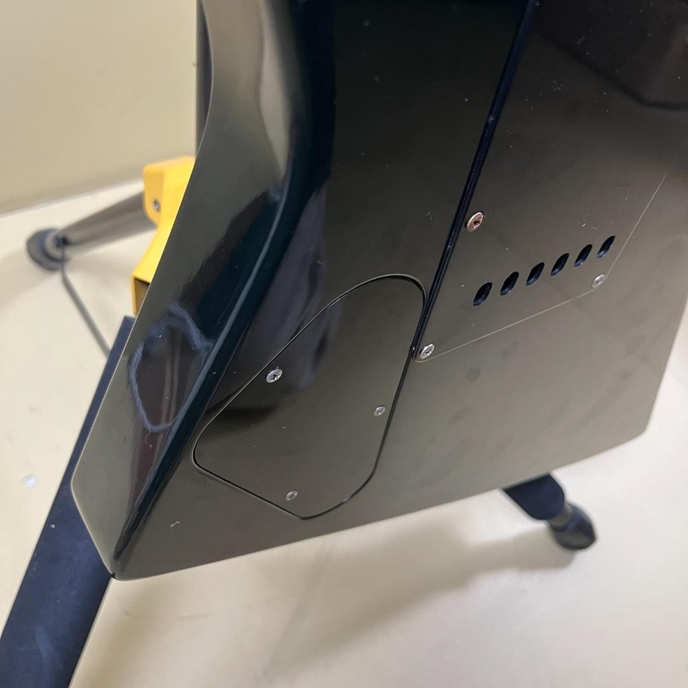 Aria Pro II ZZ Custom 1984 Black White