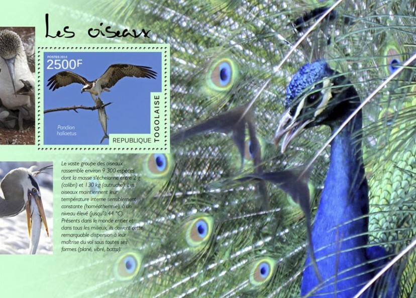 2014 TOGO MNH. BIRDS   |  Y&T Code: 882  |  Michel Code: 6125 / Bl.1045