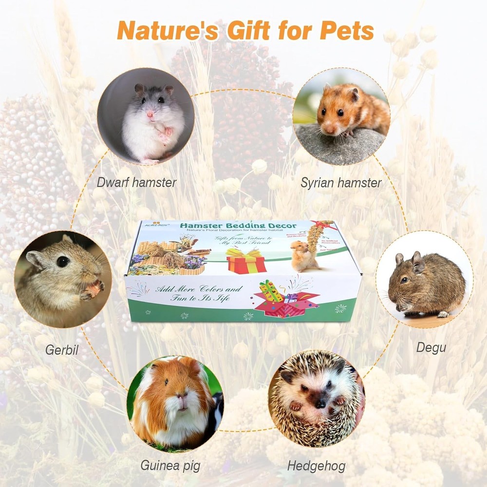 Decorative Hamster Herbs & Bedding for Cages - Fun for Dwarf & Syrian Hamsters