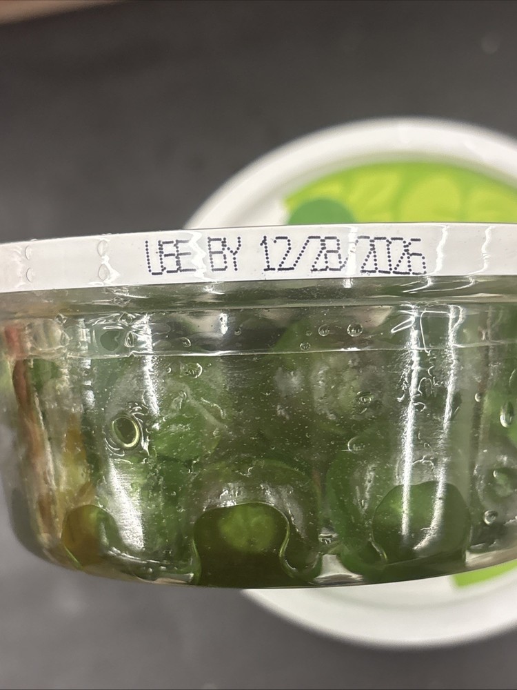 4 x Green Cherries (8 Oz per Container)