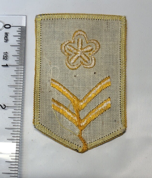 Chevron Military Patch Two Stripes