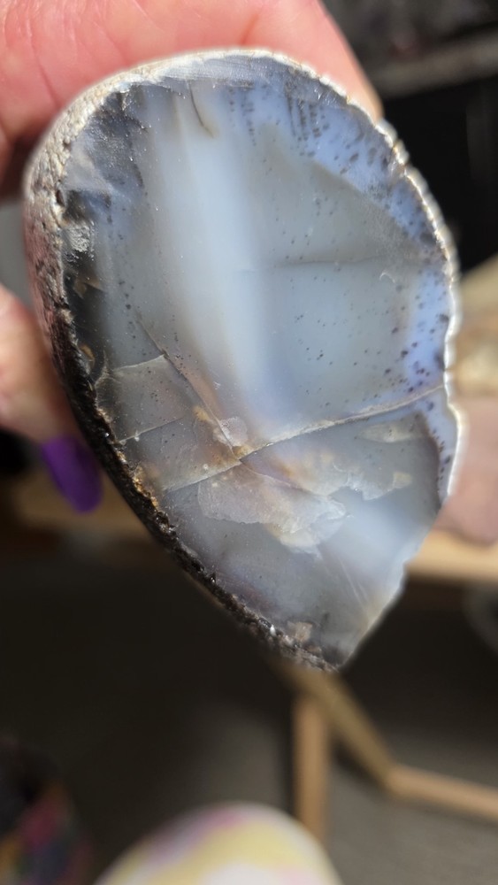 Montana Agate Rough 2lbs. 11oz.
