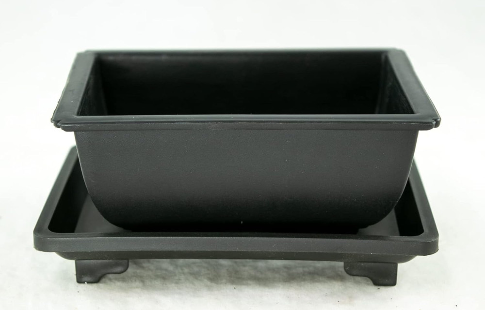 8 Sets Rectangular Plastic Shohin Bonsai Training Pot, Cactus & Succulent Plante