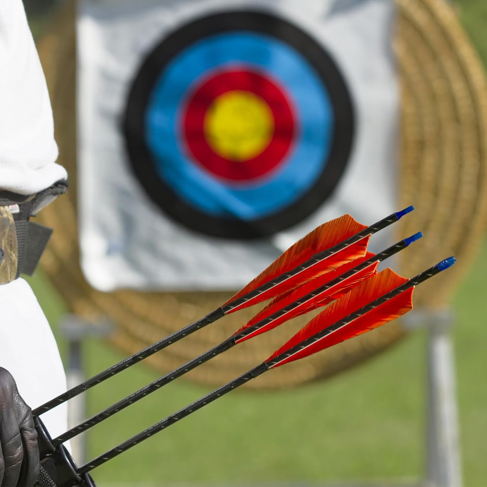 Arrows Vanes Arrow Feather Right Wing