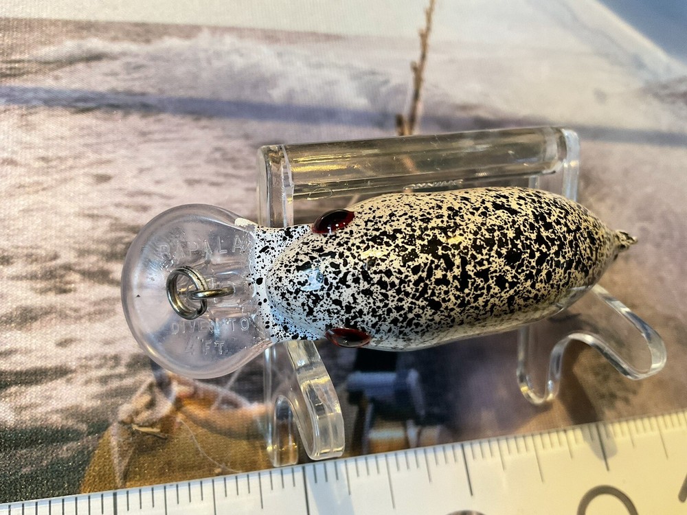 Rapala DT4 2" 5/16 Oz Custom Painted