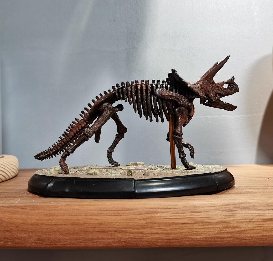 Triceratops Skeleton Model Dinosaur Model Statue Display Animal Model