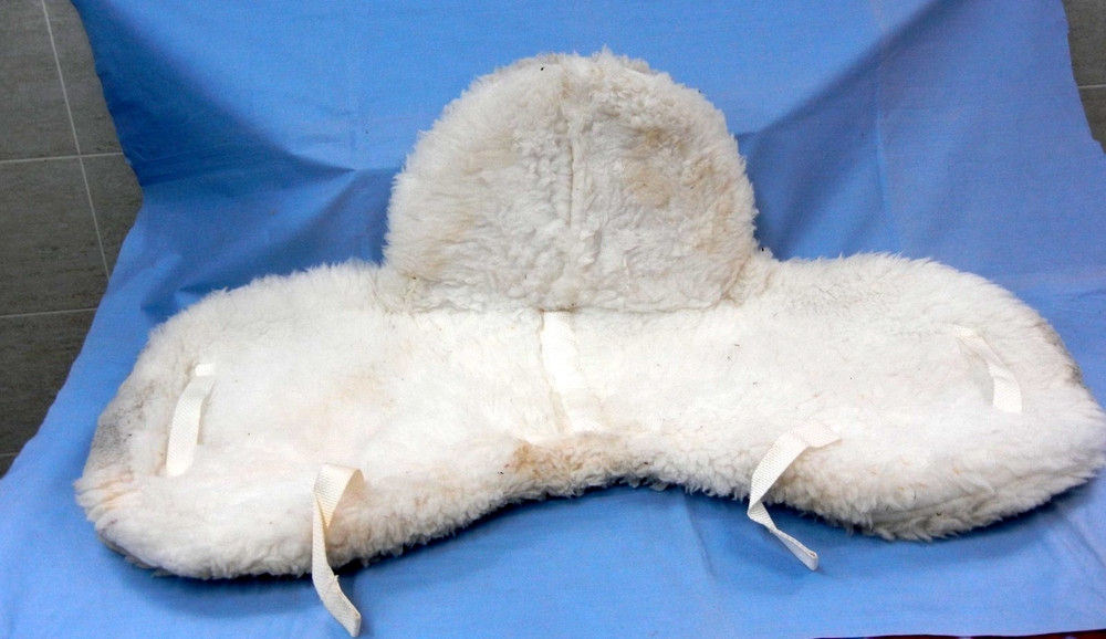 English Saddle Pads - A Pair