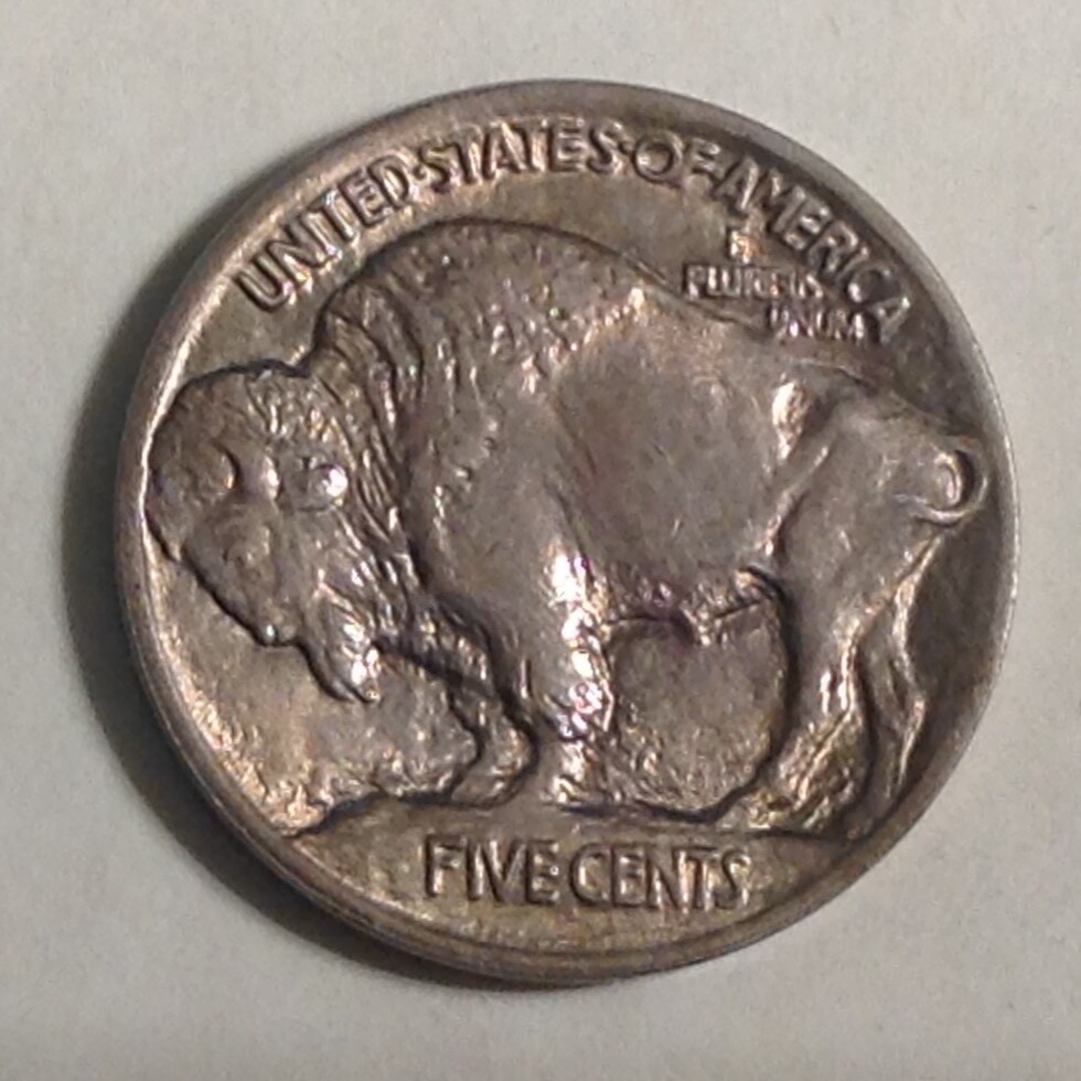 1913 Type I Buffalo Nickel cd -