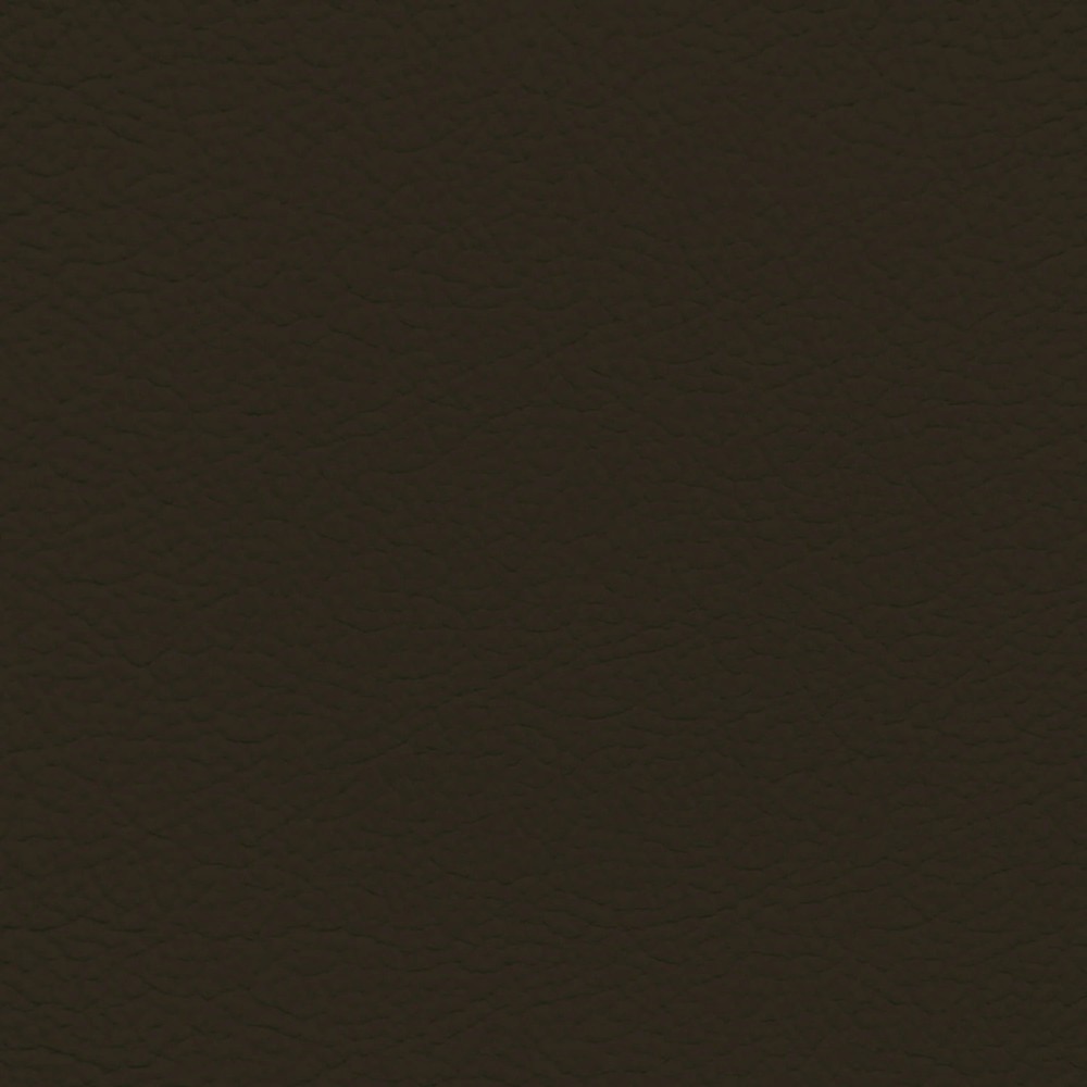 Hyundai Olive Brown Leather Dye