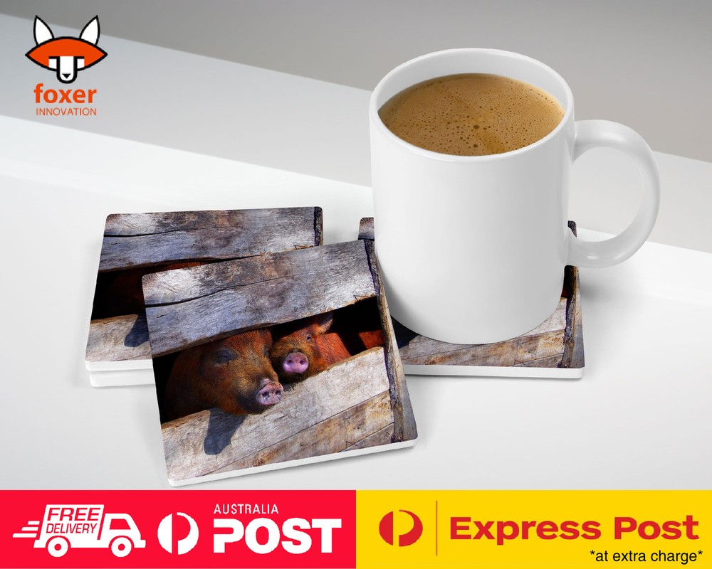 COASTER COFFEE DRINKING MAT|PIGS LOOKING THRU FENCE 1