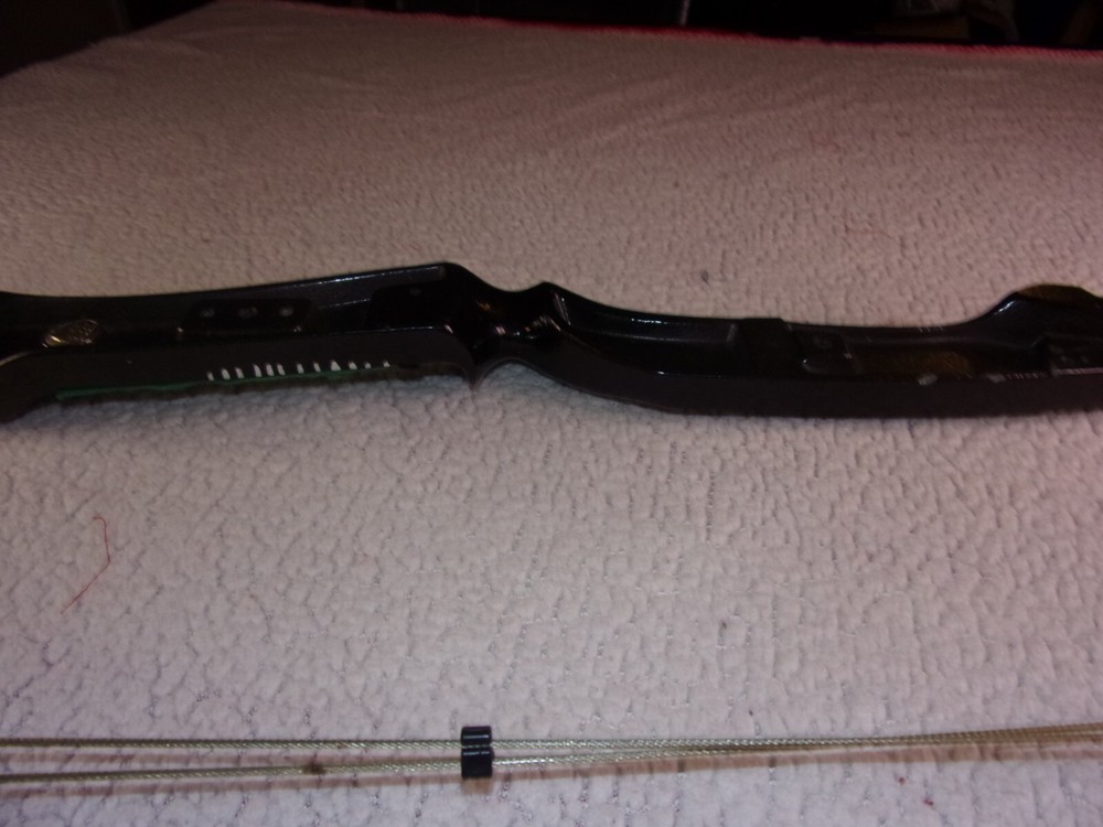 Bear Blacktail Hunter Compound