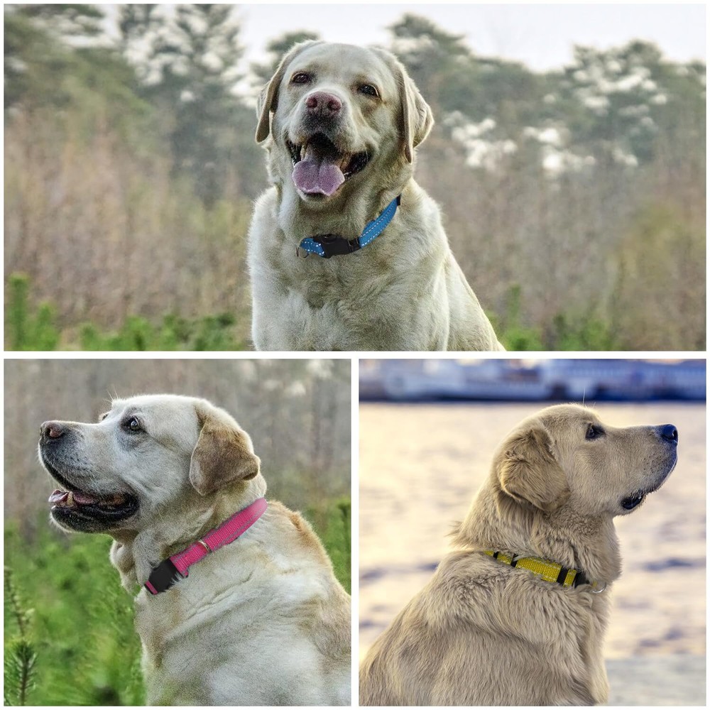 3-Packs Replacement Collar for Shock Collar E collar Bark Collar Replacement ...