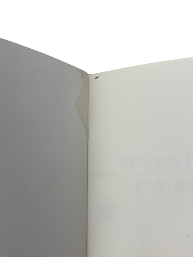 Winifred Lutz BETWEEN PERCEPTION & DEFINITION 2012 Work Art Exhibition Catalog