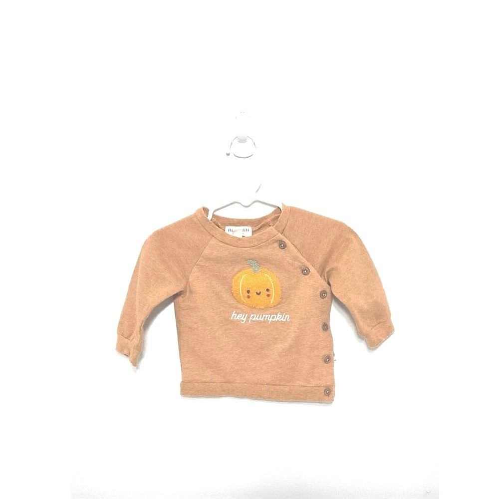 Rabbit +Bear pumpkin sweatshirt. Size 6-9 months.