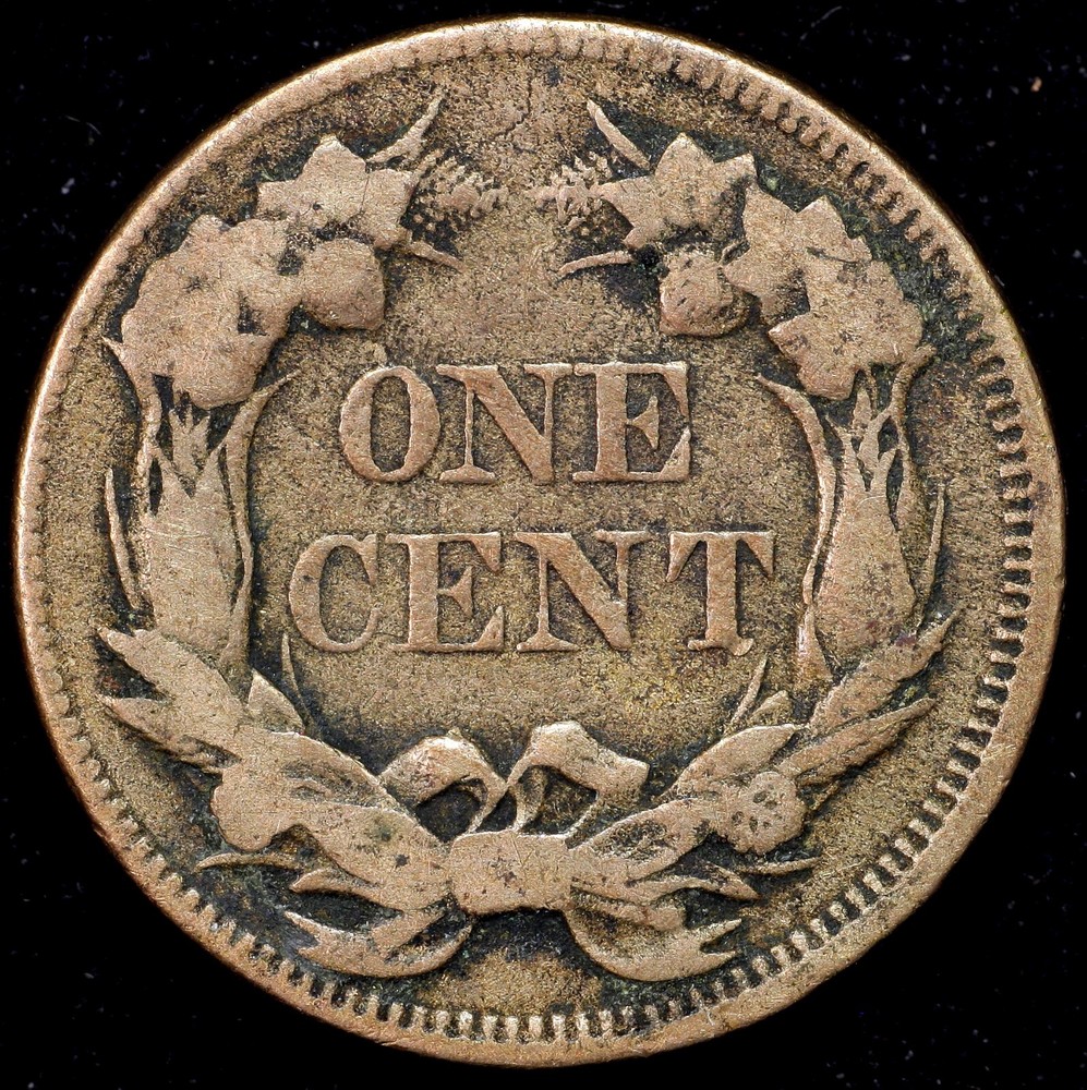 1857 Flying Eagle Cent Clashed Dies w/ Seated Half Dollar US Coin Error FS-402