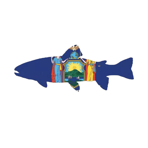 New York State Shaped Trout Sticker Decal