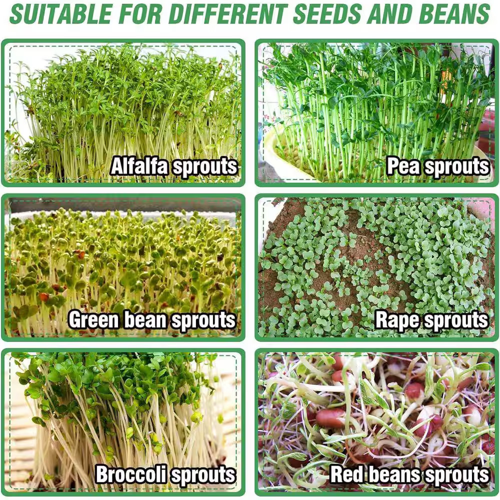 Stainless Steel Seed Sprouting Kit 4-Tier round Microgreens Tray Stackable Encry