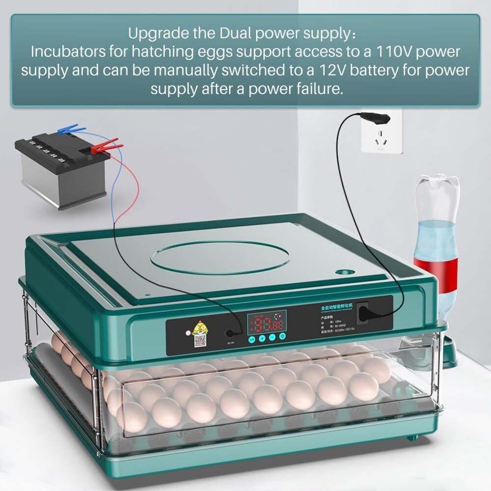 Egg Digital Poultry Hatcher Machine Automatic Egg Turning Temperature & Humidity