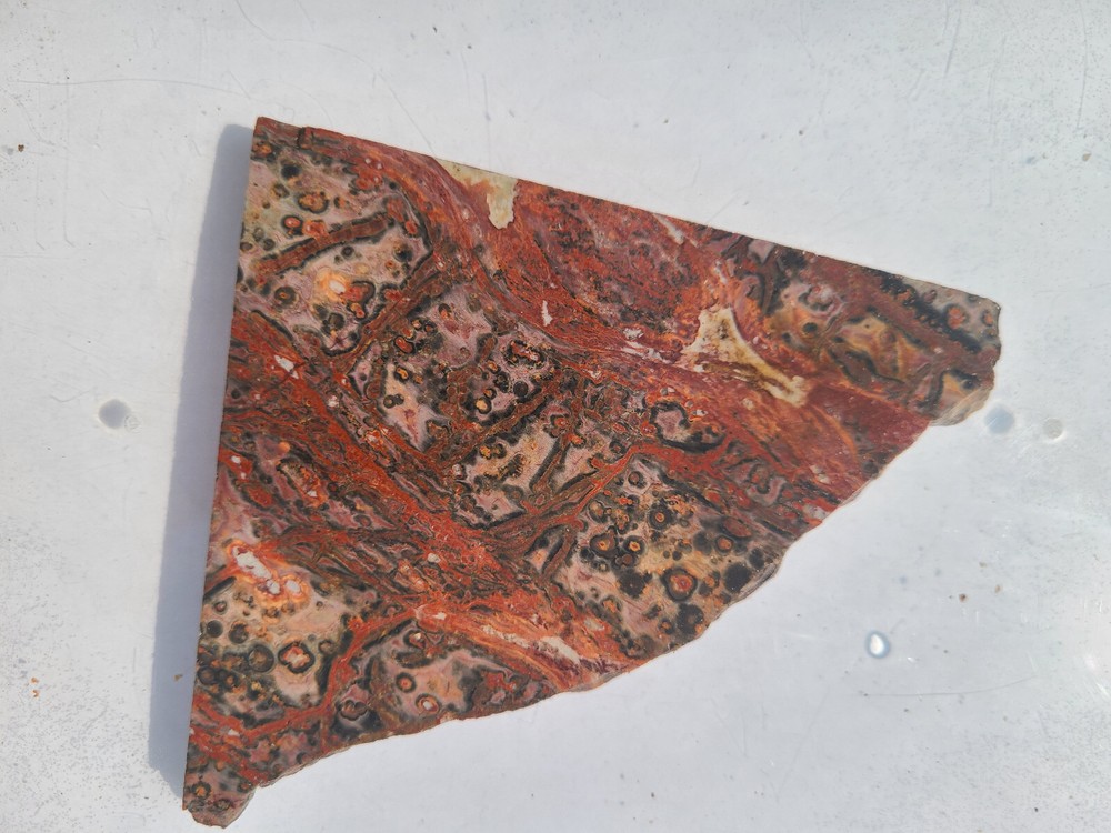 Leopard Skin Jasper Slab