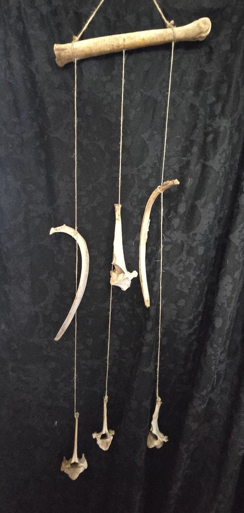 Wall Hanger Deer Bone
