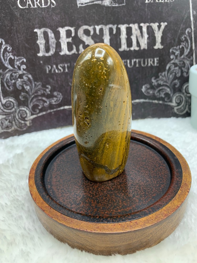Ocean Jasper Free Form- OJ21