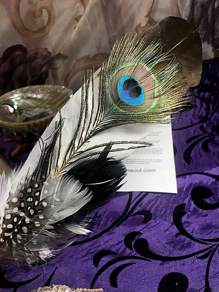 DELUXE SMUDGE KIT ABALONE SHELL STAND SAND SAGE FEATHER CLEANSING CLEARING