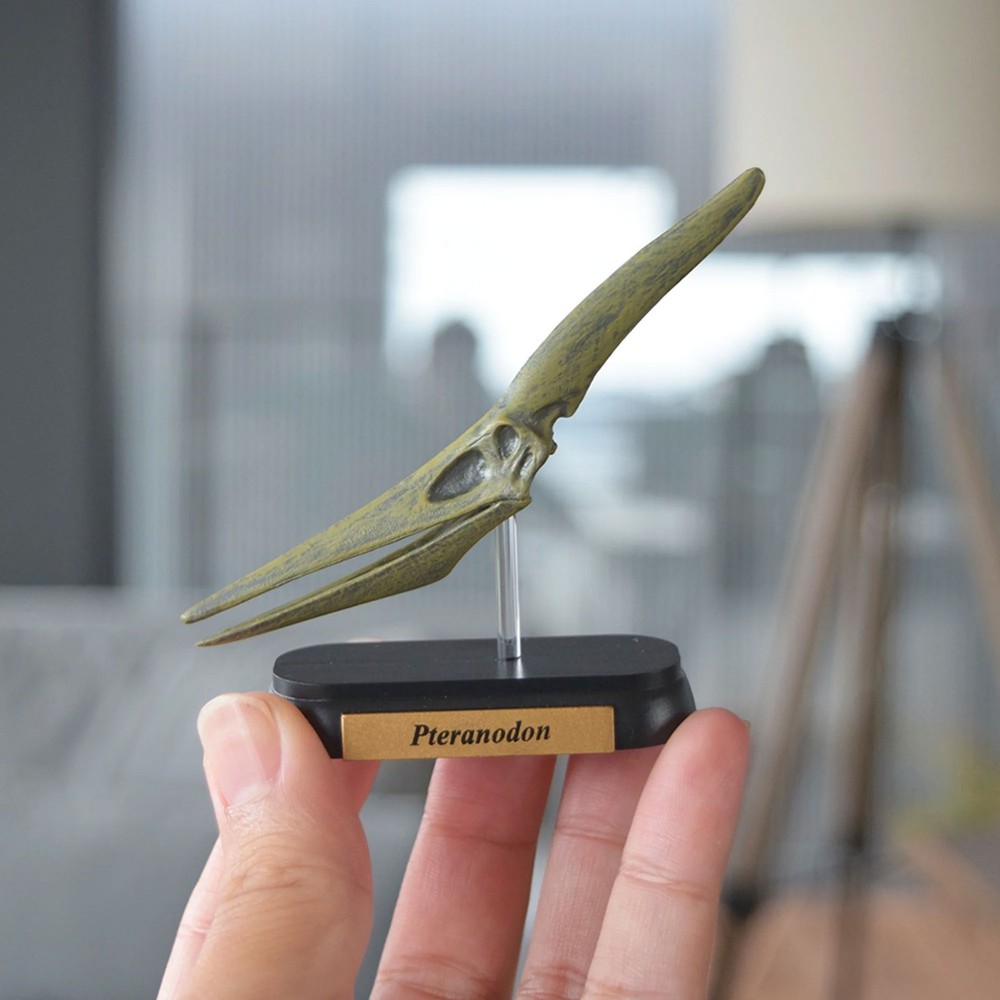 Dinosaur Pteranodon Skull Mini Figure Mini Model Favorite