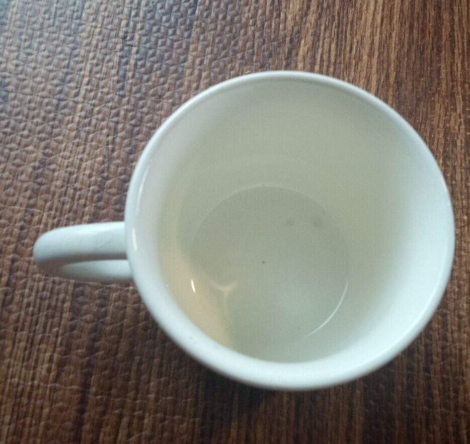 Fresh Garden Carrot Mug