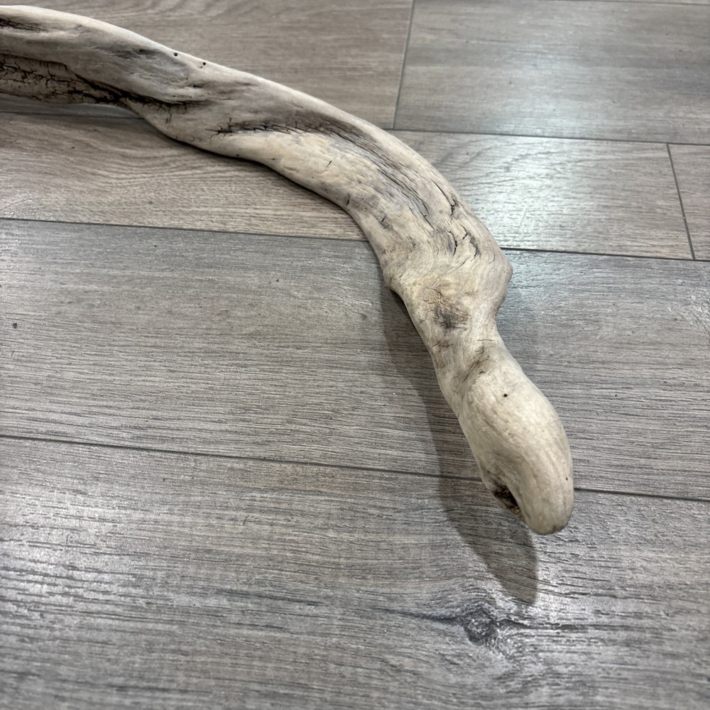 Petrified Wood Snake 30”