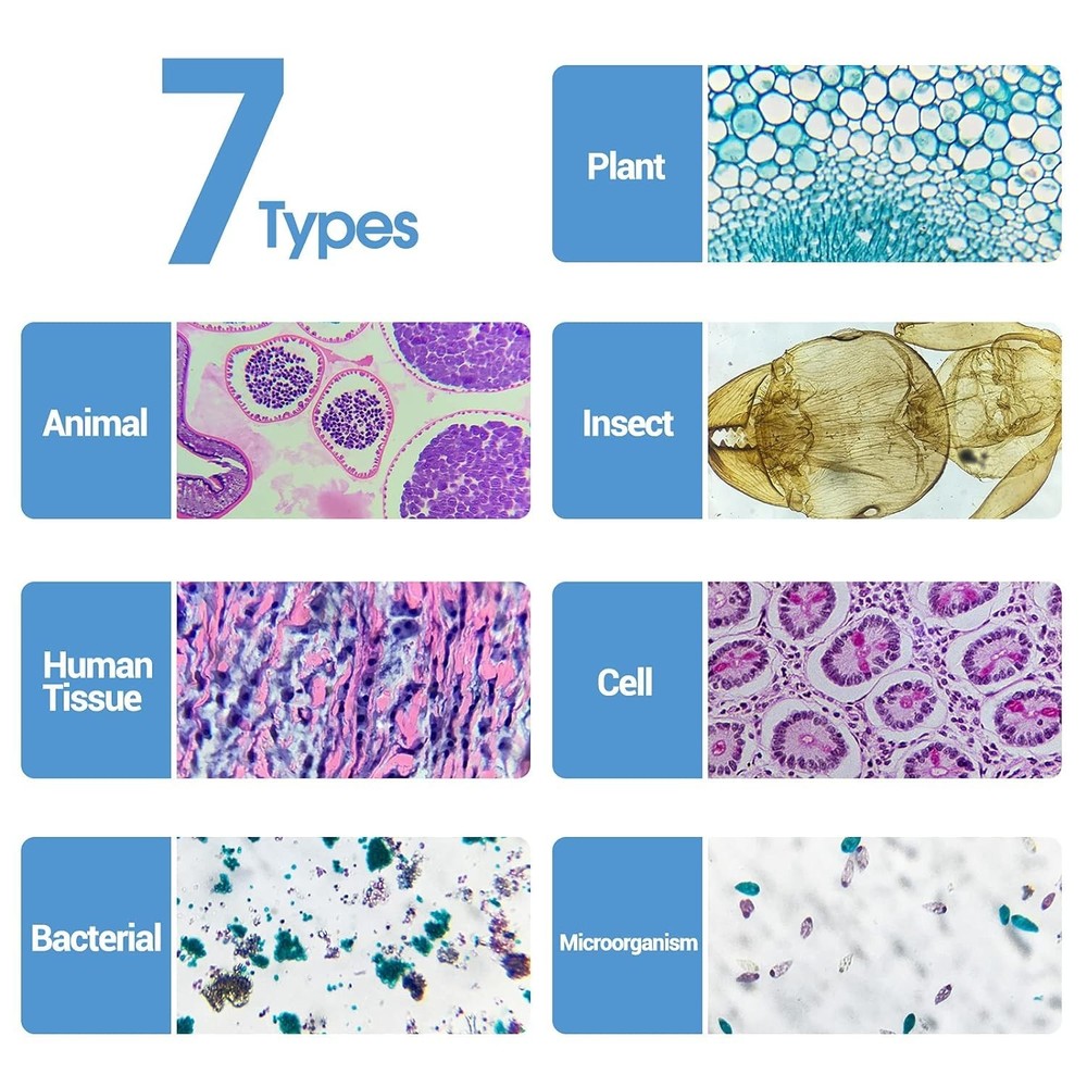 Beginner’s Microscope Slide Collection: 120 Specimens for Exploration & Learning