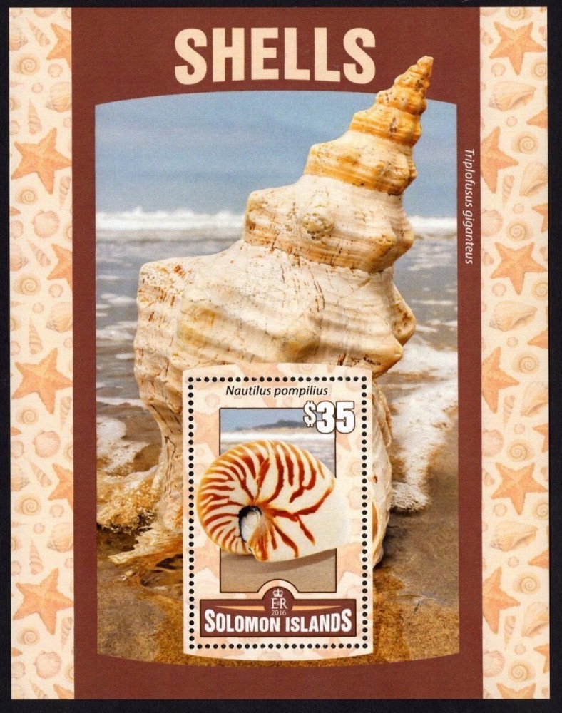 SOLOMON ISLANDS $35 2016 Sea Shells Mini Sheet Mint MUH