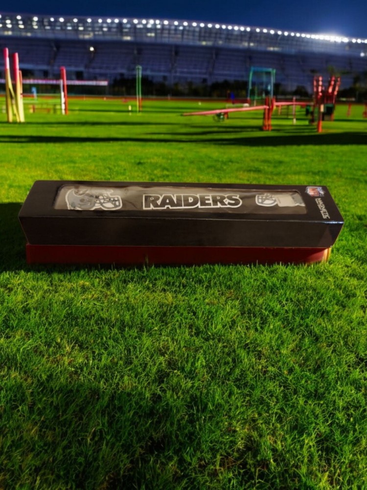 NFL Magnetic Dart Board -Raiders