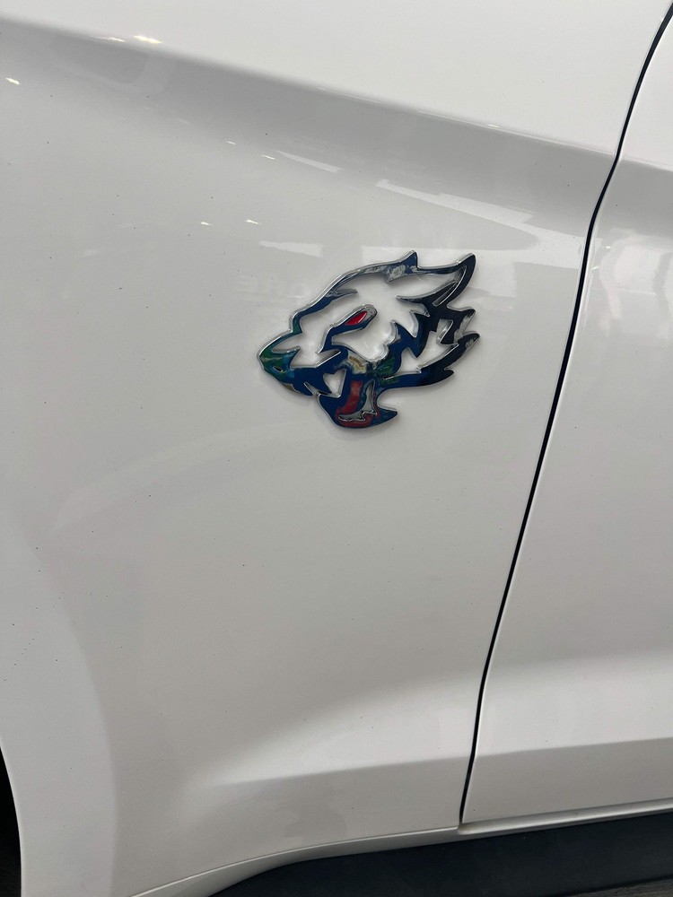 Mustang Coyote 5.0 Fender Emblems - CHROME