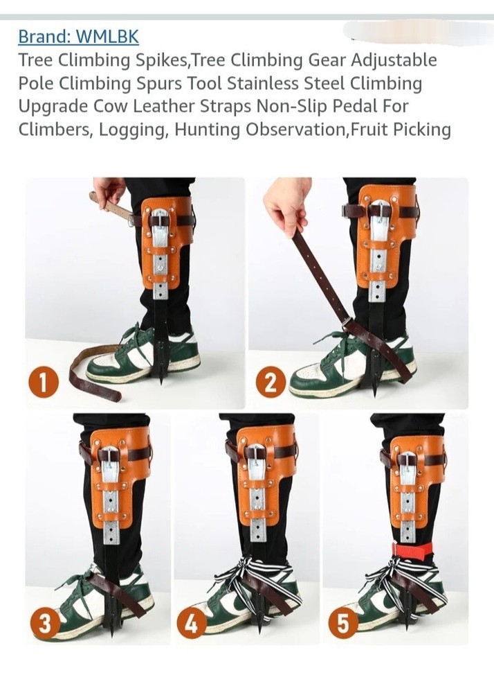 Tree Climbing Spurs Steel