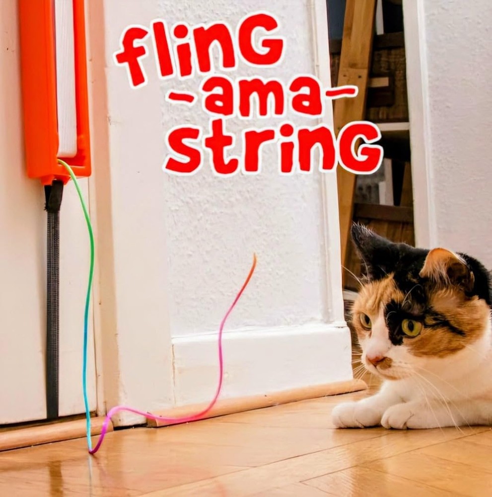 FLING-AMA-STRING Automatic cat toy: Interactive Cat Toy for Bored Indoor Cats...