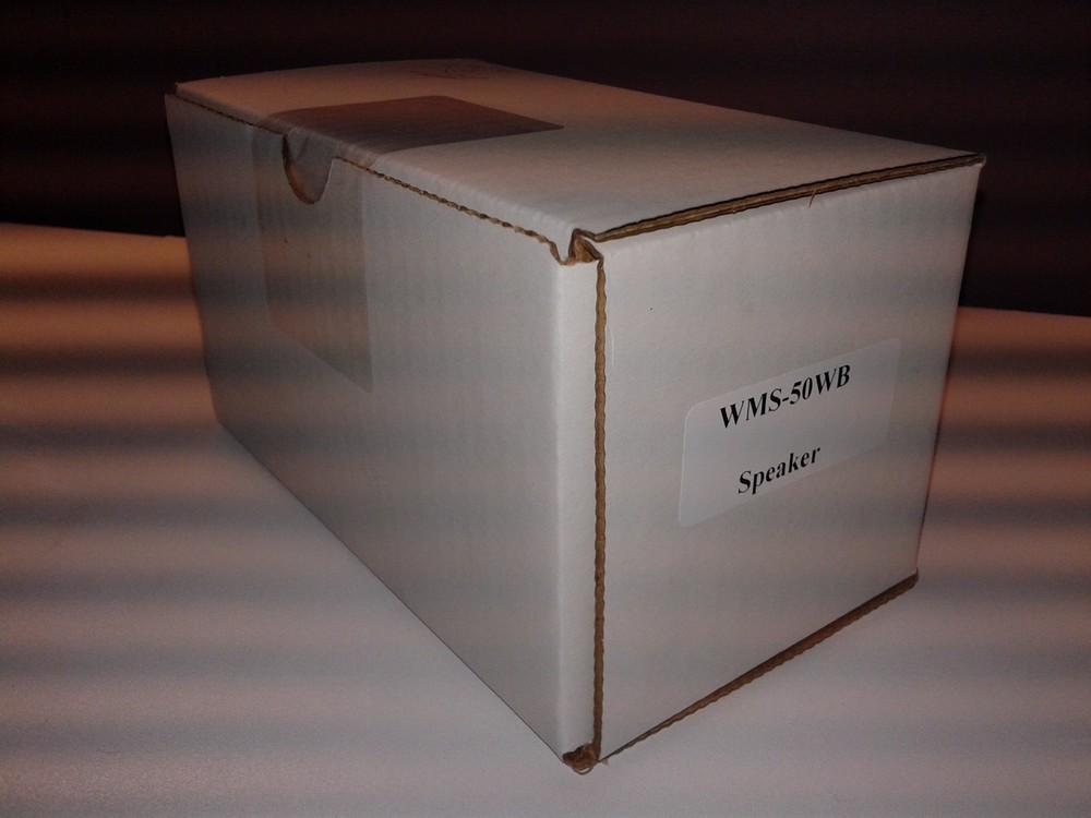 External Speaker with Mounting Bracket - MG WMS-50WB