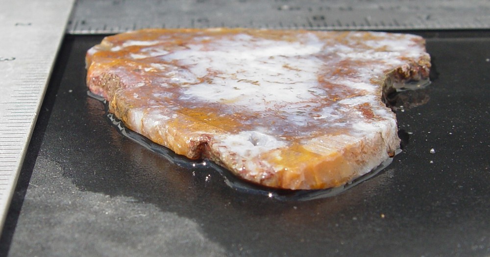 Gold Moss Agate Lapidary Slab 1486