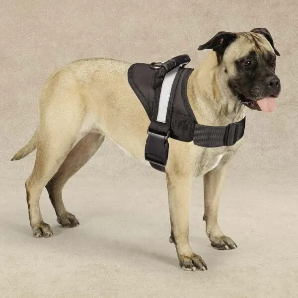 Guardian Gear Excursion Dog Harnesses Black Lifting Harness MEDIUM