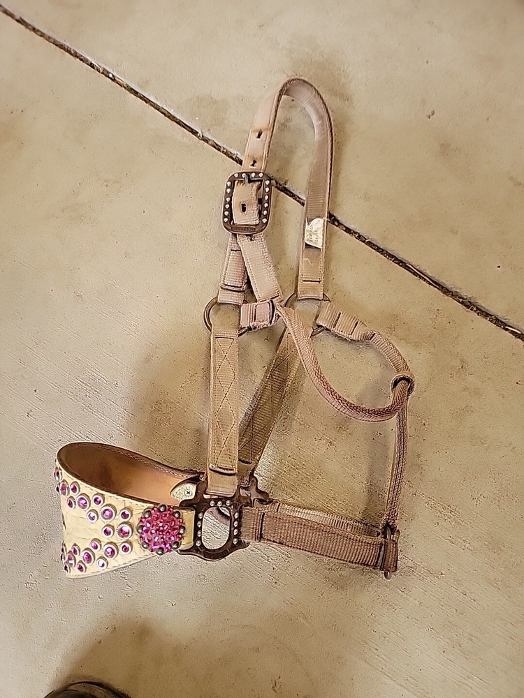 Horse Halter