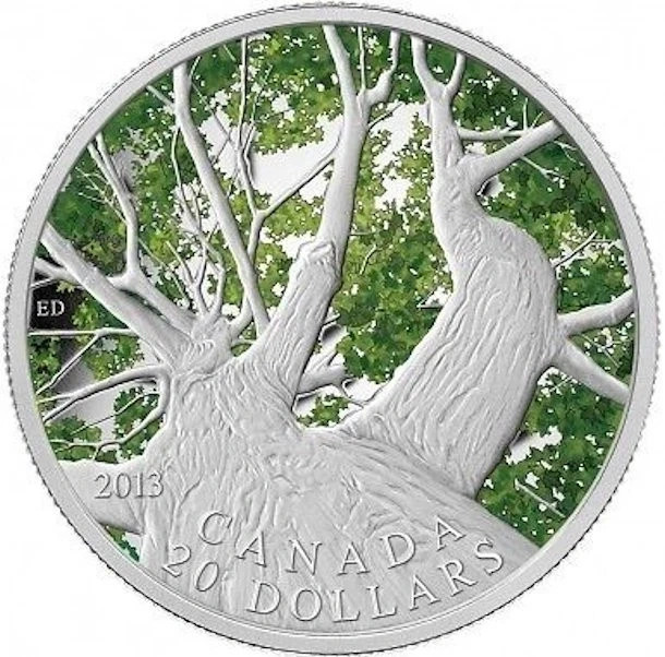 2013 CANADA Silver 20 DOLLARS PCGS PR-69 DCAM Maple Canopy