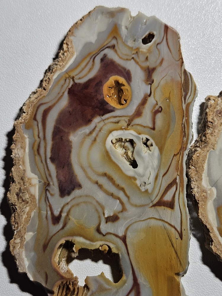 Rhyolite Two Lapidary Slabs 105 Grams
