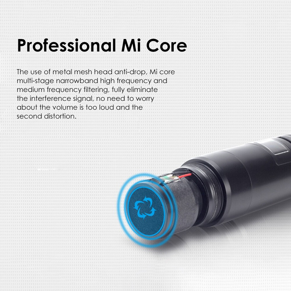 Professional 2 Channel UHF Wireless Dual Microphone Cordless Handheld Mic System