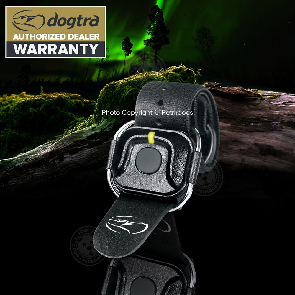Dogtra HandsFree 1900S Conversion Trainer Kit or Replacement Collar NOT Included