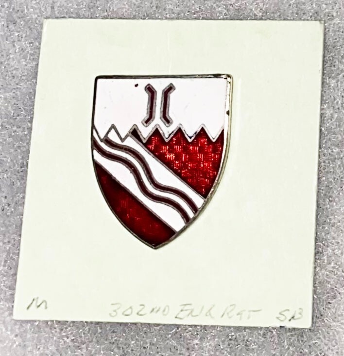 WWII 302nd Engineer Regiment DI SB